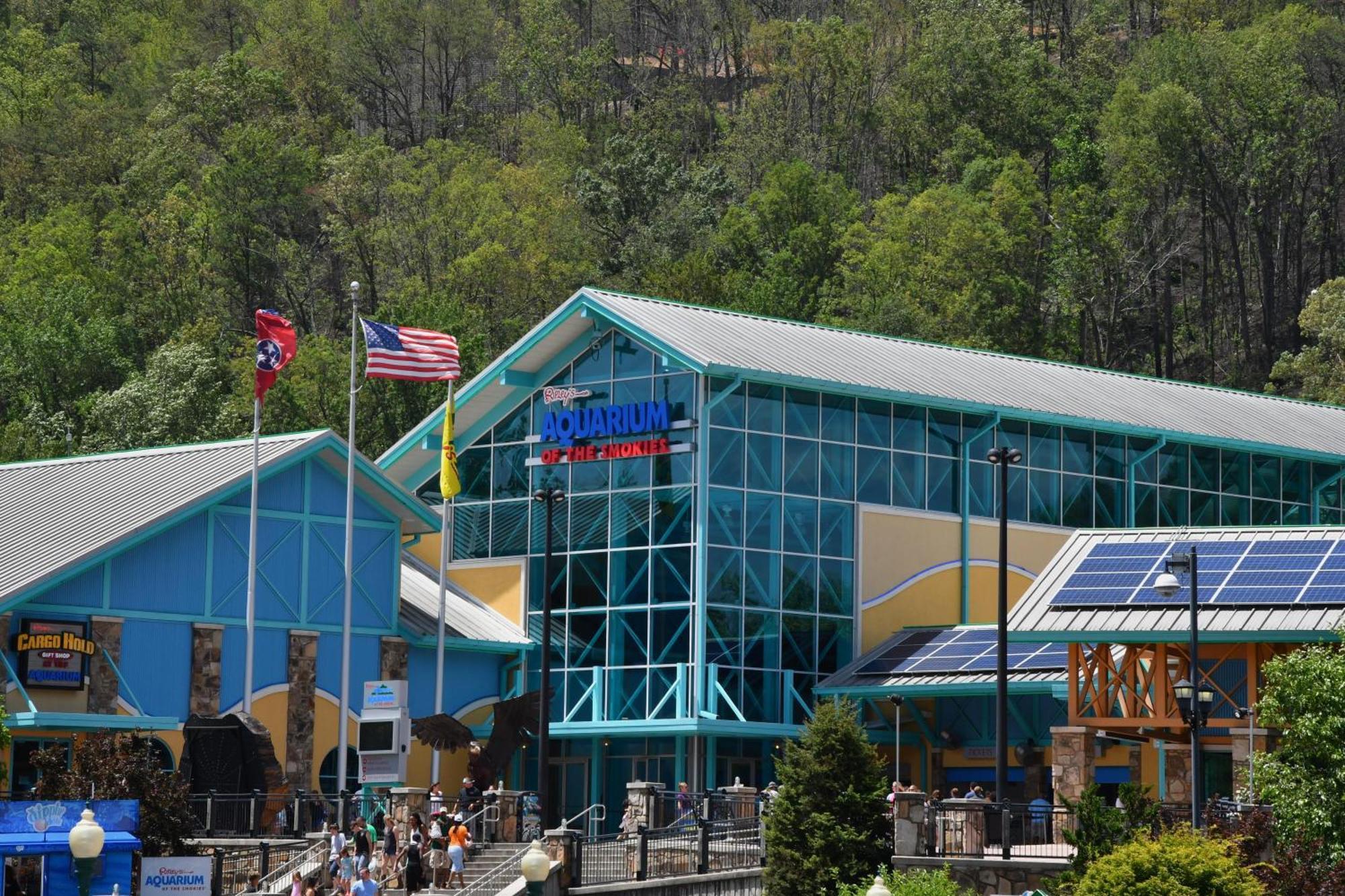 Wild Thing #1525 Villa Gatlinburg Exterior photo